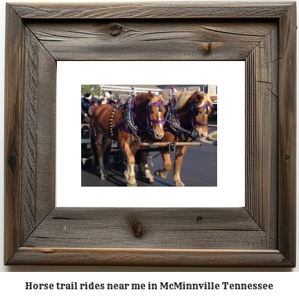 horse trail rides near me in McMinnville, Tennessee